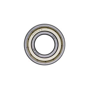 Bearing 6004 ZZ