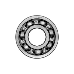 Bearing 6304
